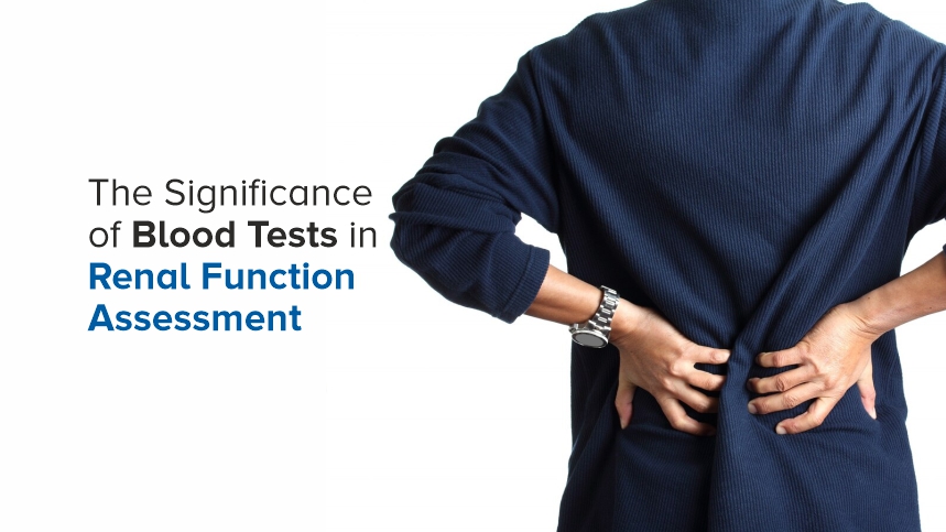 Understanding the Importance of Blood Tests in Renal Function Assessment