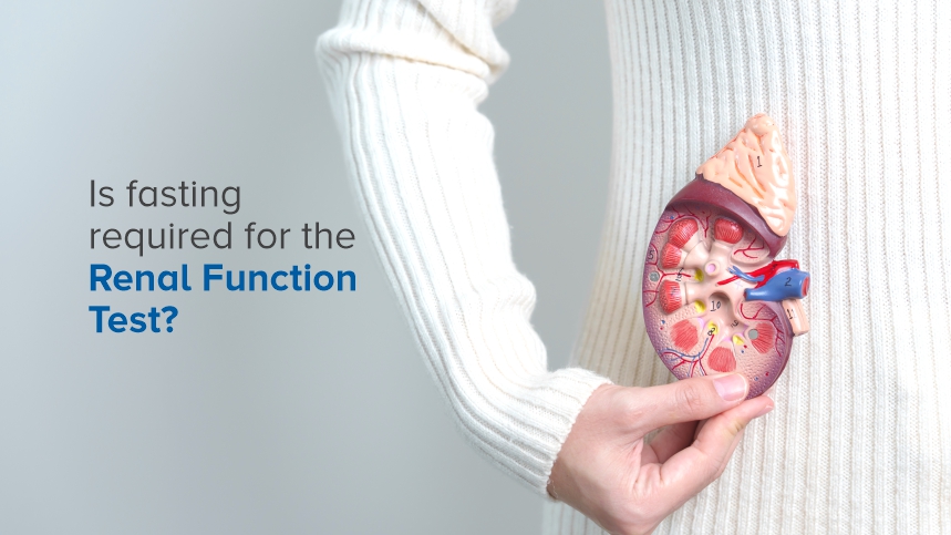 Is Fasting Required for the Renal Function Test?