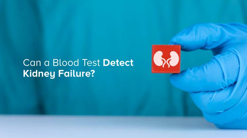 Can a Blood Test Detect Kidney Failure? Here’s What You Need to Know