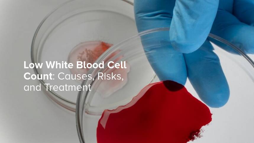 Low White Blood Cell Count: Causes, Risks, and Treatment