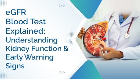 eGFR Blood Test Explained Understanding Kidney Function and Early Warning Signs