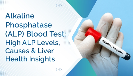 Alkaline Phosphatase (ALP) Blood Test: High ALP Levels, Causes & Liver ...